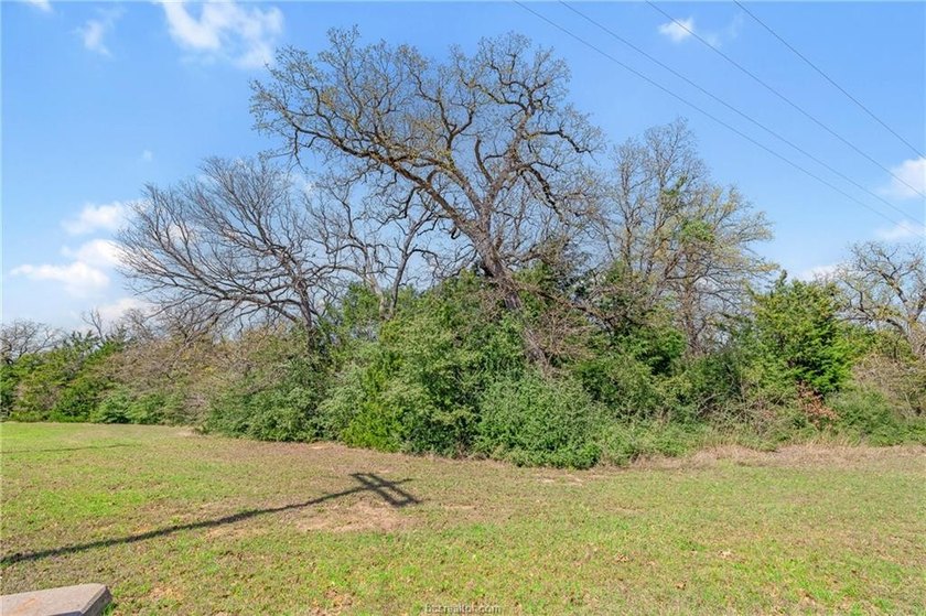 Want room to spread out near the water? These three wooded lots - photo 6