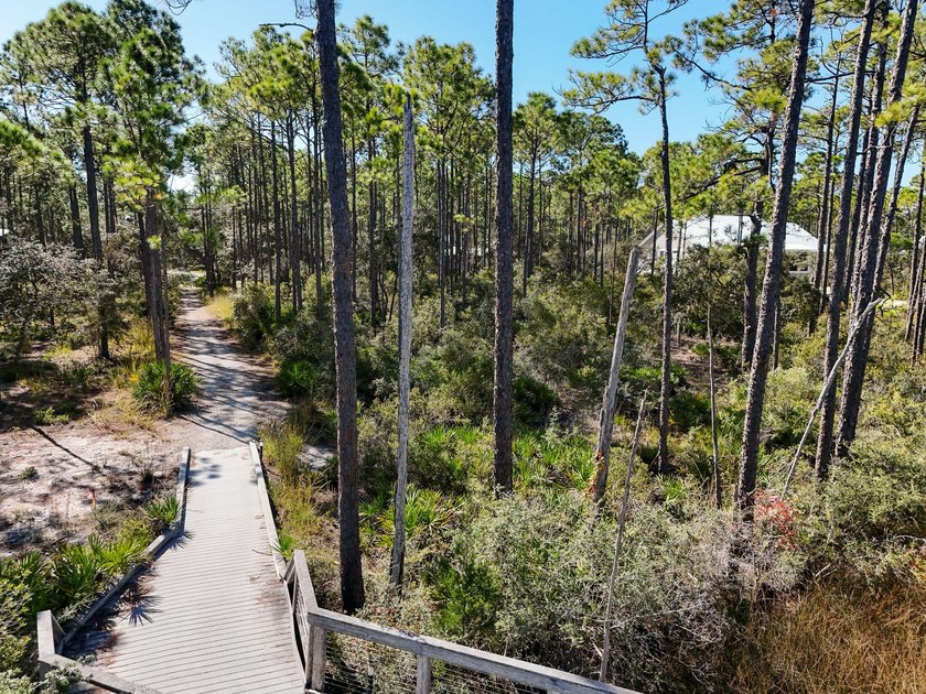 Discover the perfect place to build your dream home on Lot 114 - photo 10