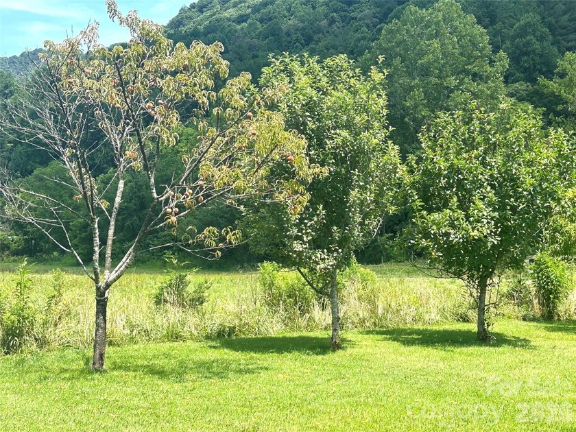 Wake up to the sights and sounds of Spring Creek at this - photo 12