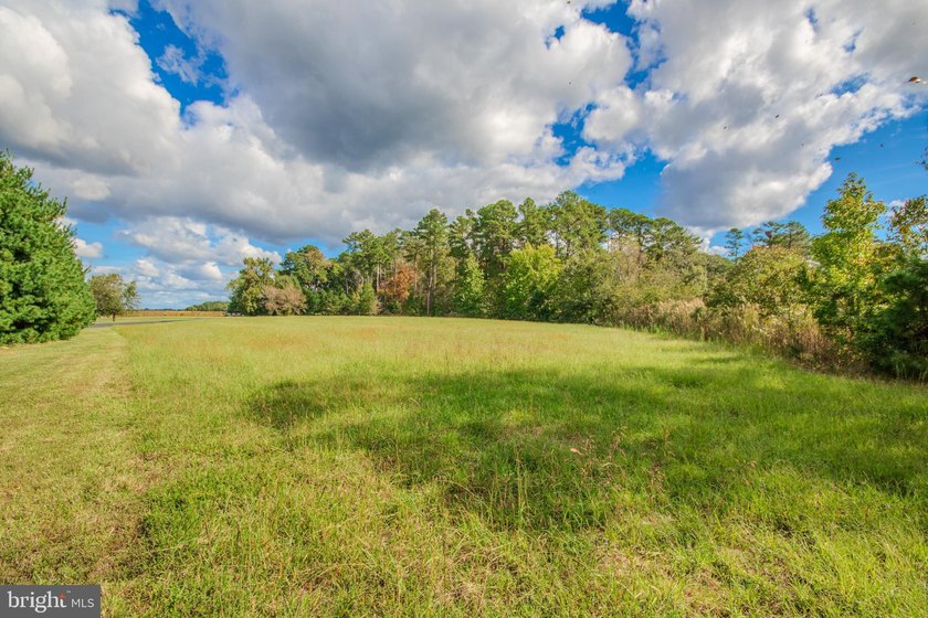 This beautiful building lot on Monie Creek is ready and waiting - photo 8