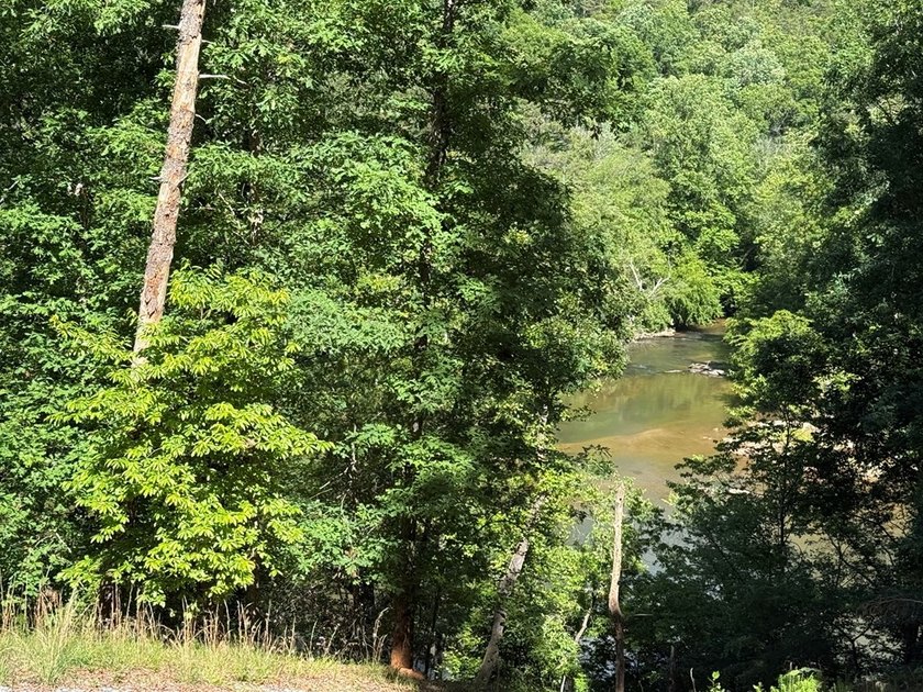 UN-RESTRICTED LOT on the Chattahoochee River!! Build your dream - photo 18