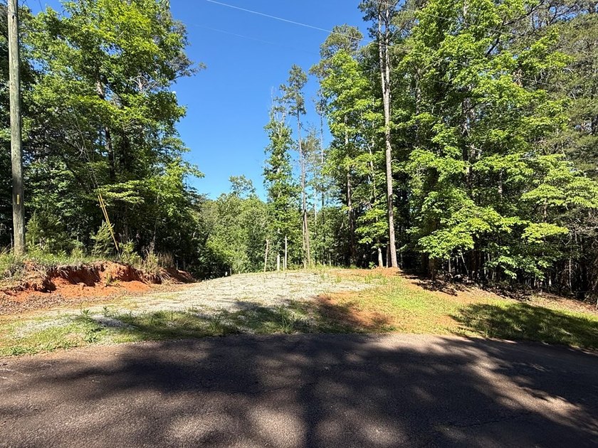 UN-RESTRICTED LOT on the Chattahoochee River!! Build your dream - photo 23