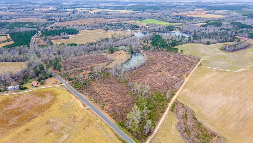Here's your chance to own a unique property with a private - photo 12