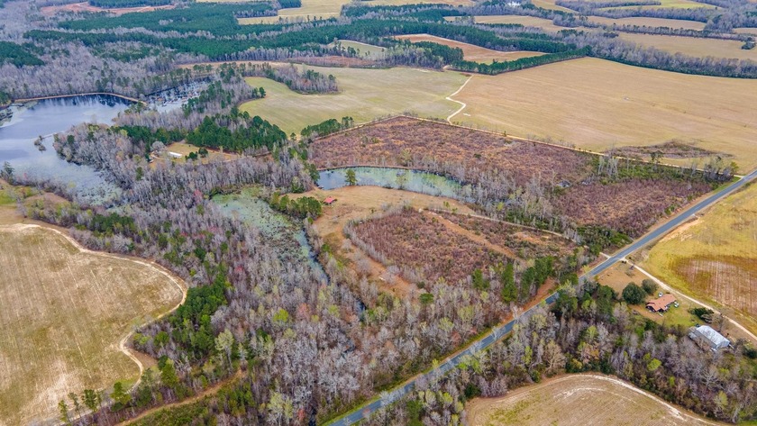 Here's your chance to own a unique property with a private - photo 13