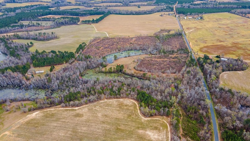 Here's your chance to own a unique property with a private - photo 14