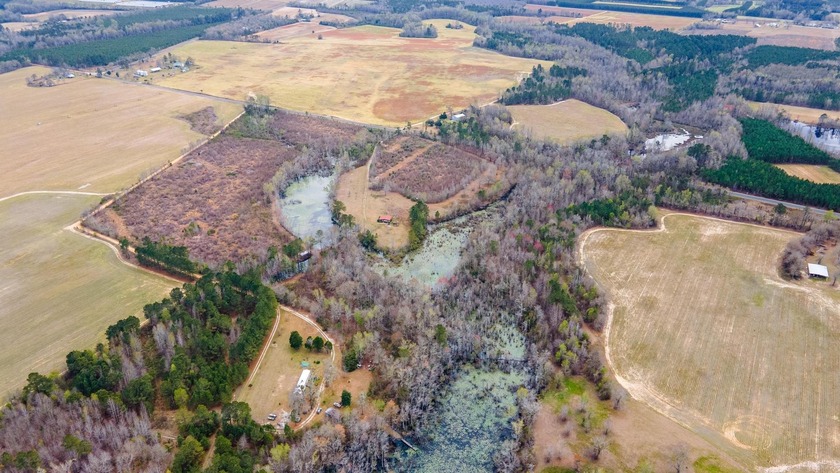 Here's your chance to own a unique property with a private - photo 15