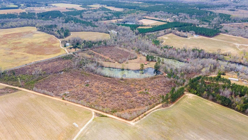 Here's your chance to own a unique property with a private - photo 16