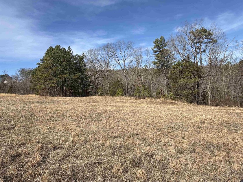 54+/- acres located off Peel Road in Shirley, Arkansas. This - photo 4