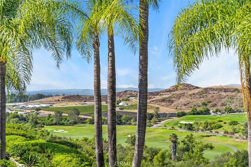 Million-Dollar Forever Views! Spectacular panoramic golf course - photo 19