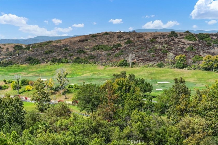Million-Dollar Forever Views! Spectacular panoramic golf course - photo 20