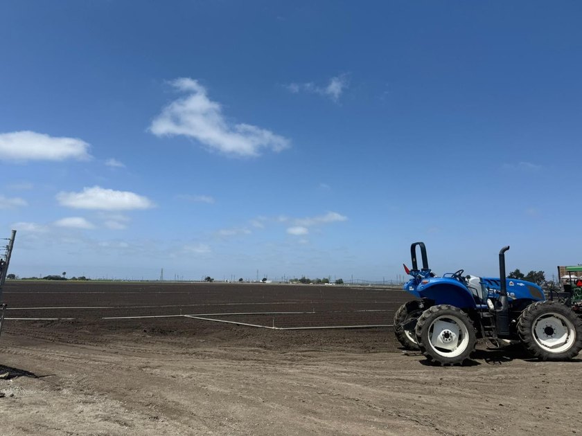 Martella Home Farm is a 20% Partnership Investment Opportunity - photo 2