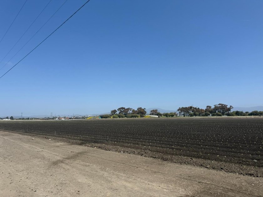 Martella Home Farm is a 20% Partnership Investment Opportunity - photo 5
