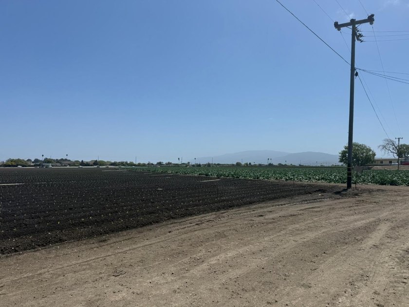 Martella Home Farm is a 20% Partnership Investment Opportunity - photo 8