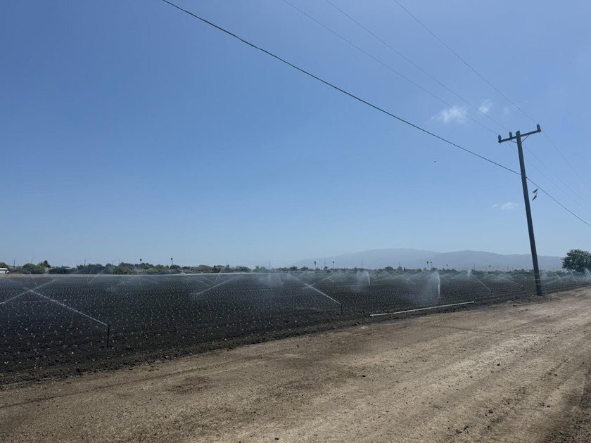 Martella Home Farm is a 20% Partnership Investment Opportunity - photo 9
