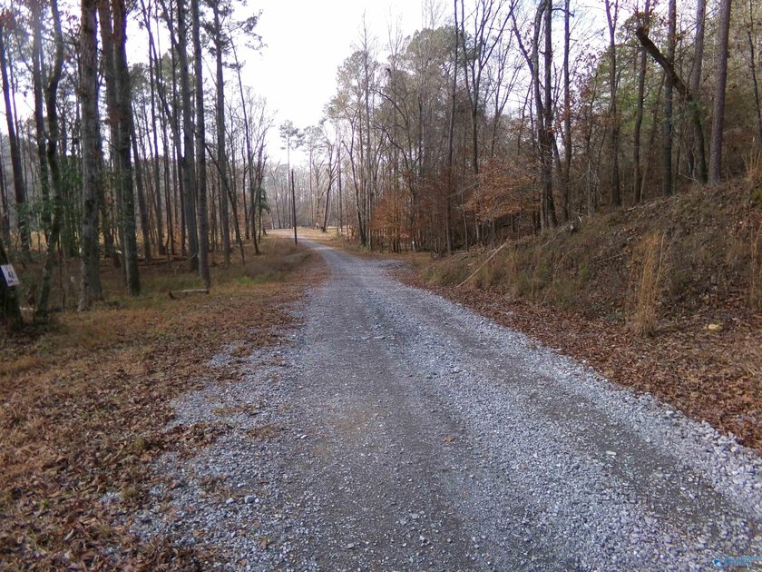 Deeded RV Lot with Power, Water &amp; Stunning Mountain Views Enjoy - photo 2
