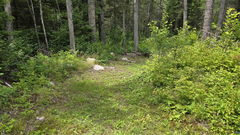 Looking for privacy, look no further. This 40-acre boat/ATV - photo 39