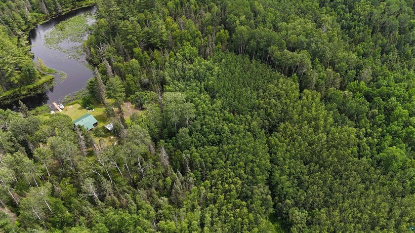 Looking for privacy, look no further. This 40-acre boat/ATV - photo 44