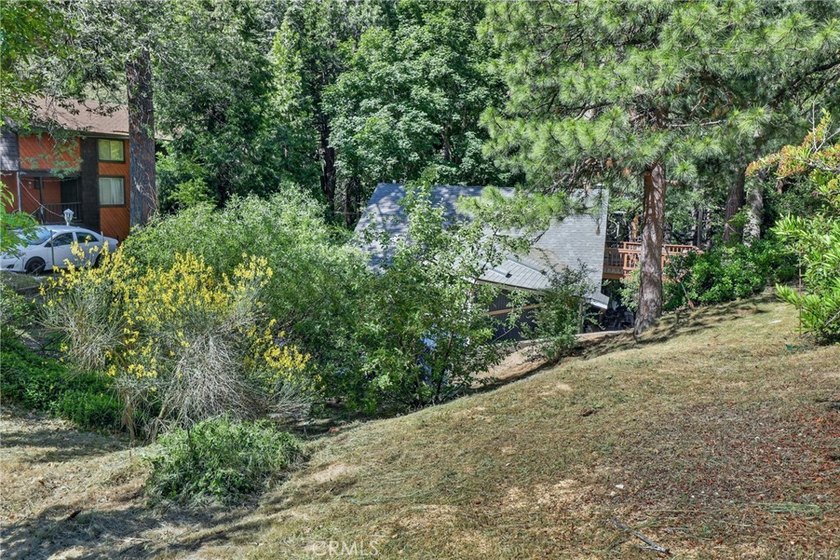 The four bears cabin sits perched on a quiet and unique street - photo 34
