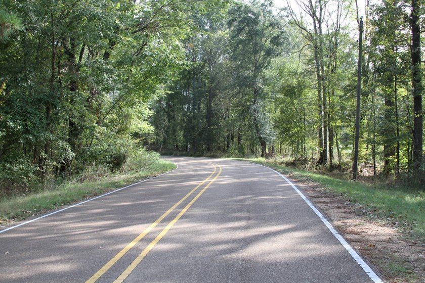 Approximately 175 acres in prime MS hunting country! This - photo 2