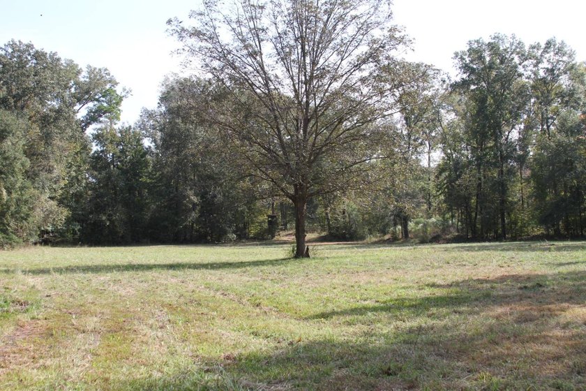 Approximately 175 acres in prime MS hunting country! This - photo 6