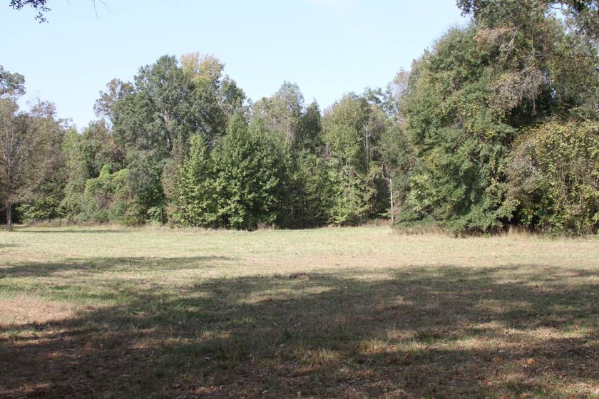 Approximately 175 acres in prime MS hunting country! This - photo 7