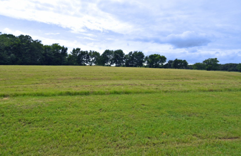 3 LOTS TOTALING 3.54 ACRES ACROSS THE STREET FROM LAKE FORK - photo 13