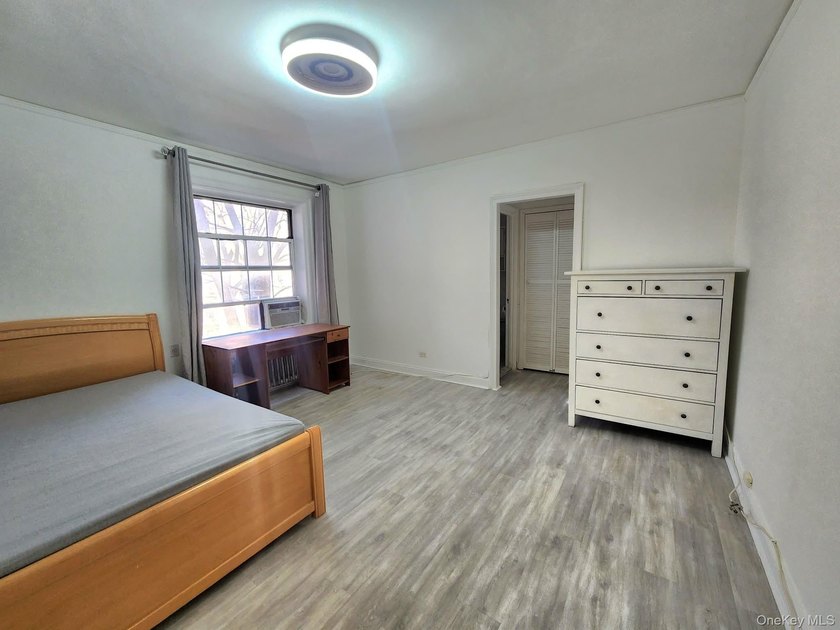 Bright, Large Studio with Renovated Kitchen and Bath and New - photo 3