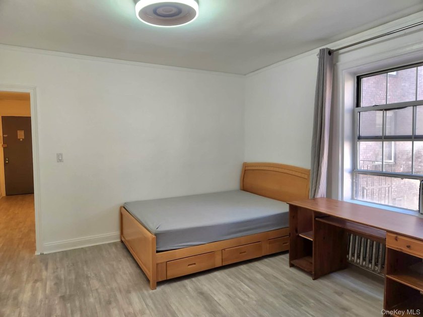 Bright, Large Studio with Renovated Kitchen and Bath and New - photo 6