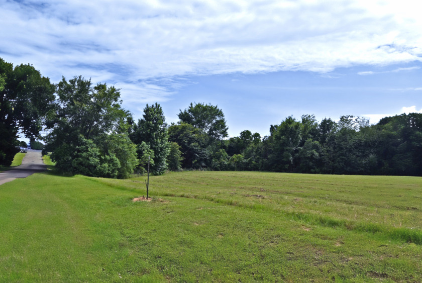 3 LOTS TOTALING 3.54 ACRES ACROSS THE STREET FROM LAKE FORK - photo 7