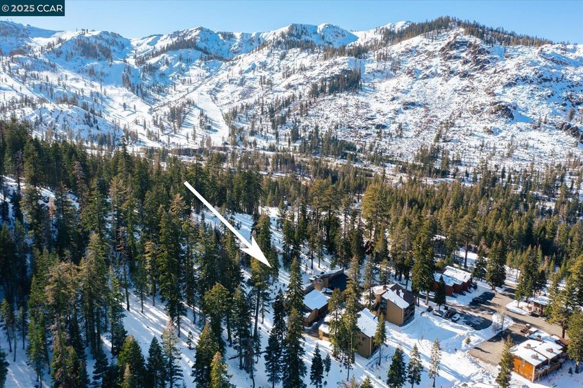 Summer is calling in Alpine Meadows. Imagine long mountain days - photo 5