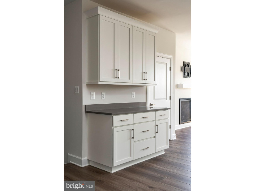Brand-New Miller &amp; Smith Elevator Brownstone-one of only FOUR - photo 10
