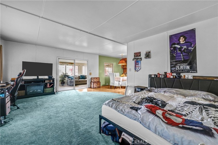 * *MOVE IN READY CORNER LOT WITH TIKI ROOM AND LARGE YARD.* - photo 16