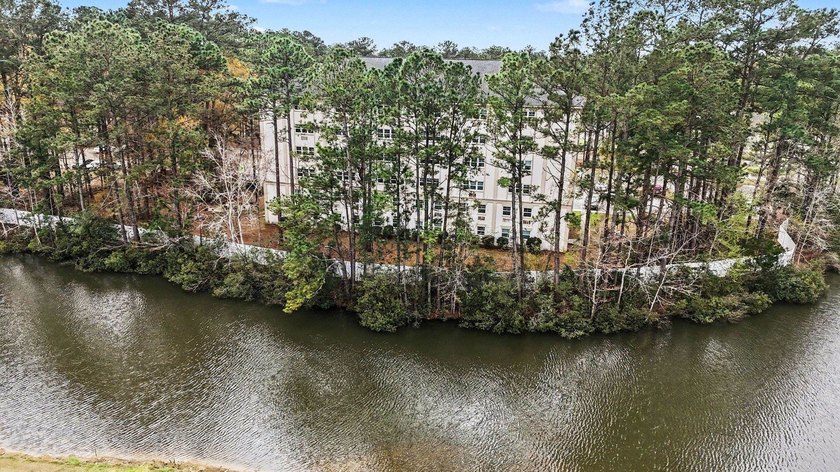 Fully remodeled unit with a lovely pond view in the heart of the - photo 3