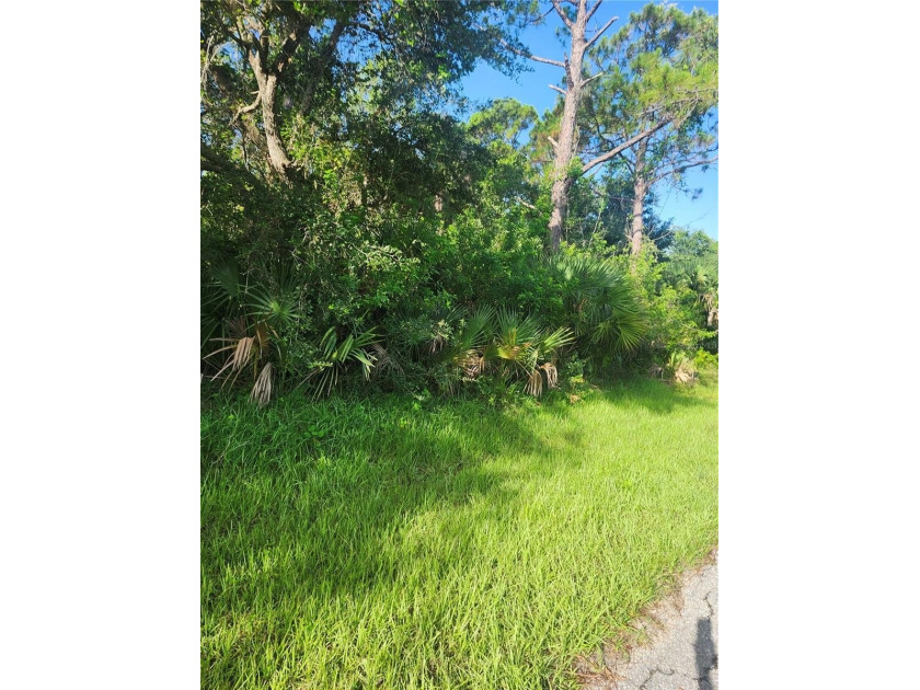 Buyer and/or buyer's agent to verify all zoning, dimensions, and - photo 3