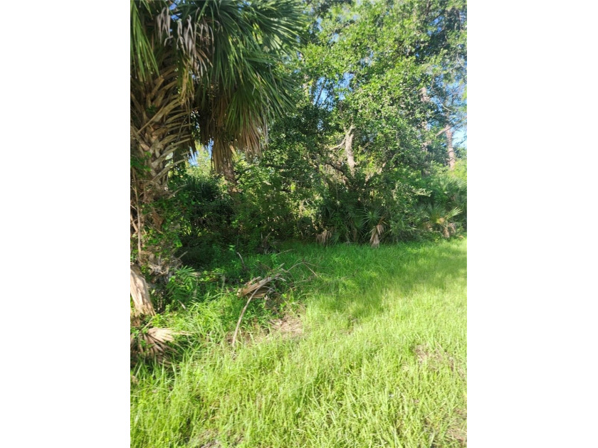 Buyer and/or buyer's agent to verify all zoning, dimensions, and - photo 8
