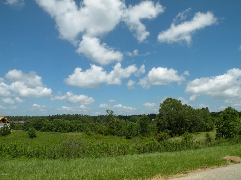 Great new home site on the lake - photo 8