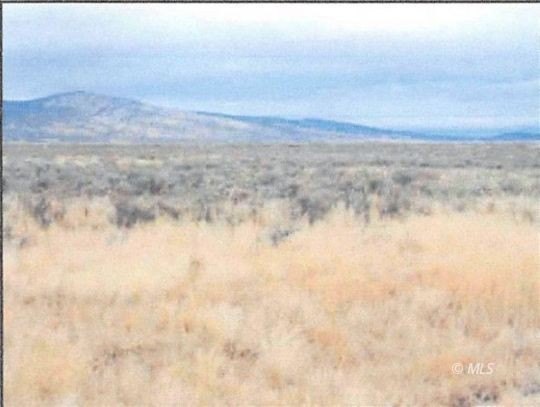 120 acres of native grasses and sagebrush. Use for your own - photo 3