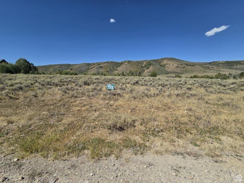 Discover a rare opportunity to own a highly sought-after - photo 3