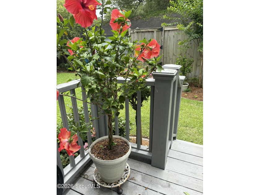 Exceptional opportunity to own a beautifully renovated, turnkey - photo 49