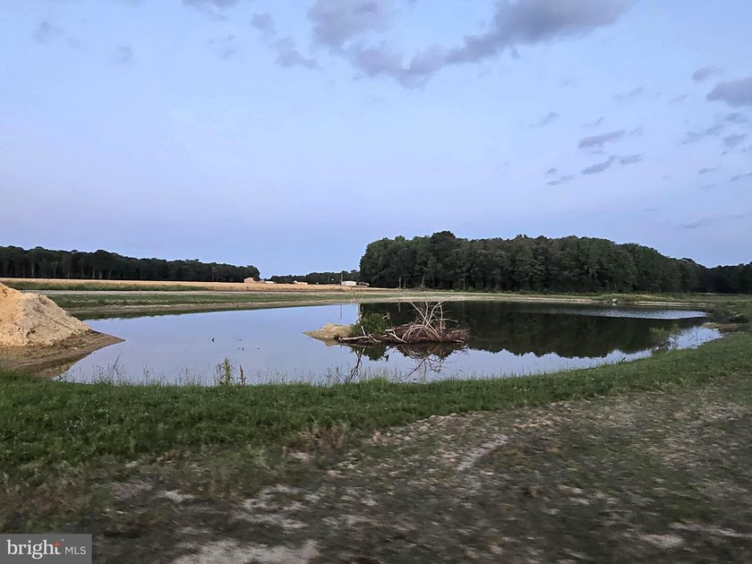 Poultry farm features a total of 60.57 acres (40 acres tillable - photo 4