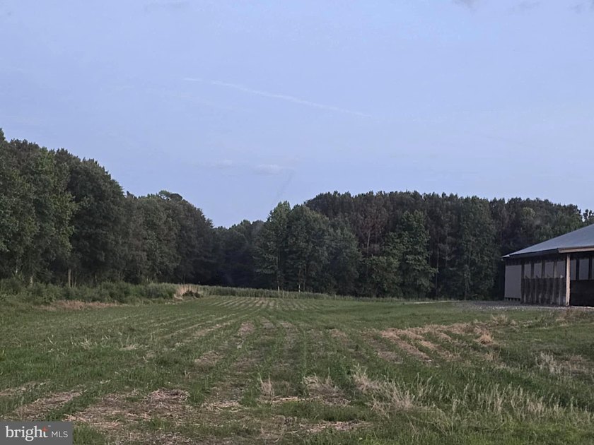 Poultry farm features a total of 60.57 acres (40 acres tillable - photo 5