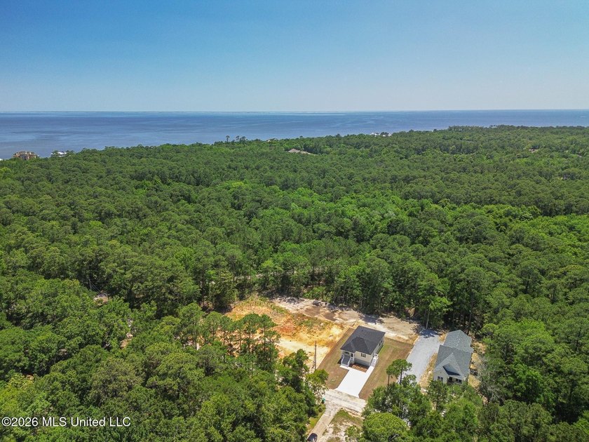 You'll feel right at home in this beautiful new construction - photo 22