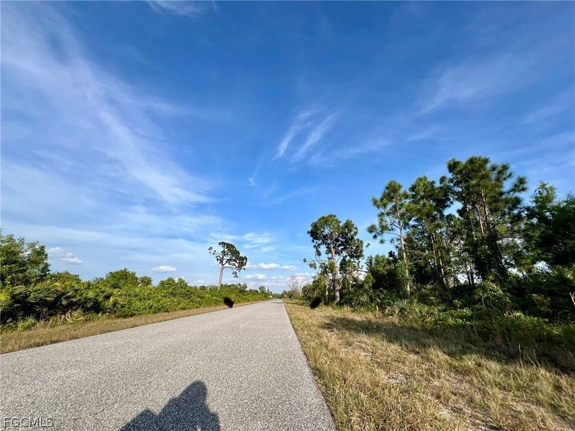 Beautiful lot offers a unique opportunity to build the home of - photo 3