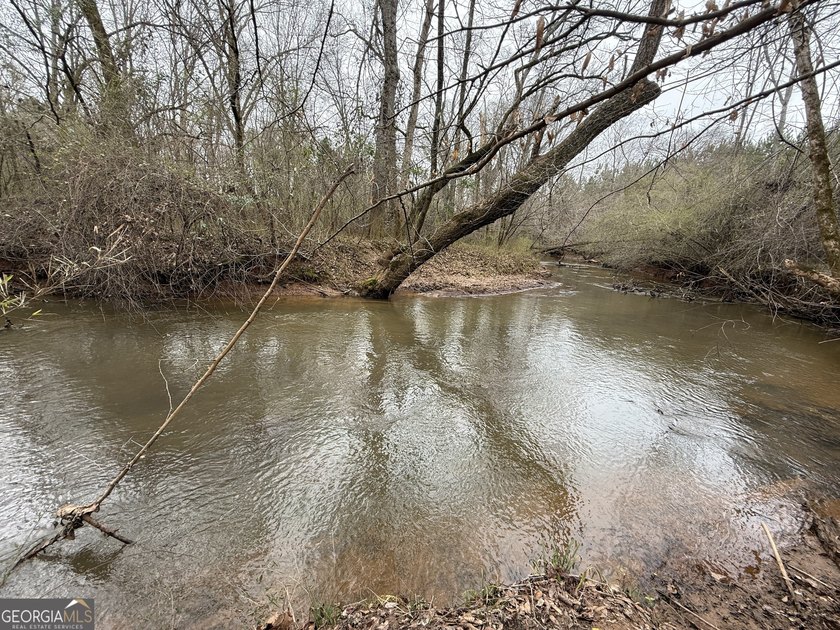 Welcome to 49+ acres on Jordan Road in eastern Harris County - photo 6