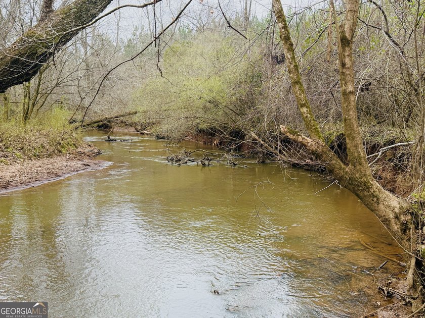 Welcome to 49+ acres on Jordan Road in eastern Harris County - photo 7