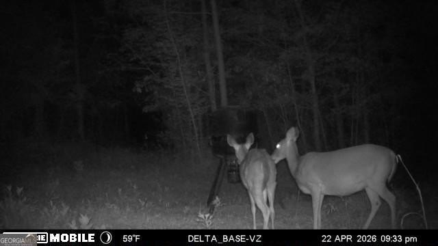 Welcome to 49+ acres on Jordan Road in eastern Harris County - photo 10
