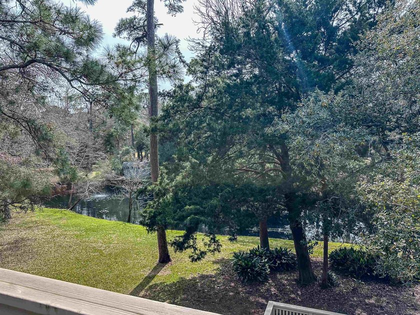 ***BE SURE TO WATCH WALK-THRU VIDEO INCLUDED IN LISTING!!*** - photo 7