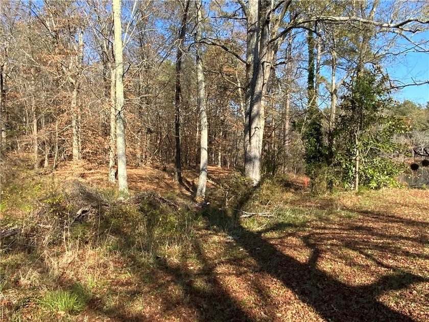 This 15.06 acre property has frontage on two streets. This - photo 14