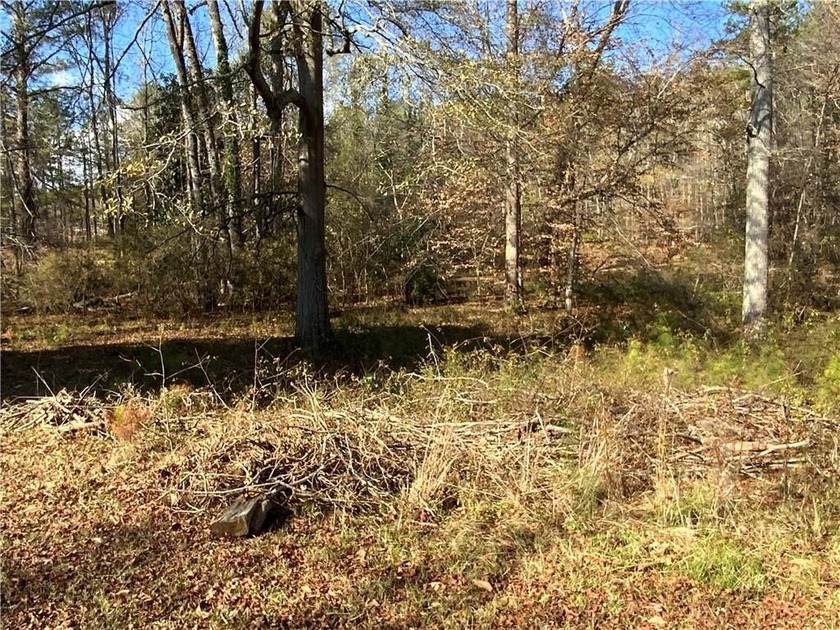 This 15.06 acre property has frontage on two streets. This - photo 15