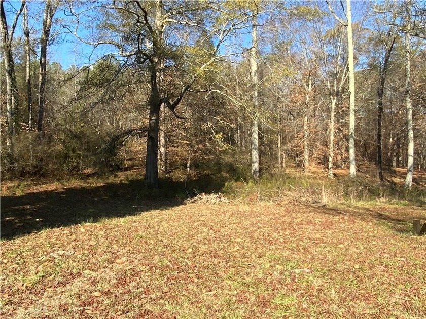 This 15.06 acre property has frontage on two streets. This - photo 18
